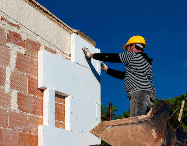 Best Geographic-Specific Insulation Services in Tchula, MS