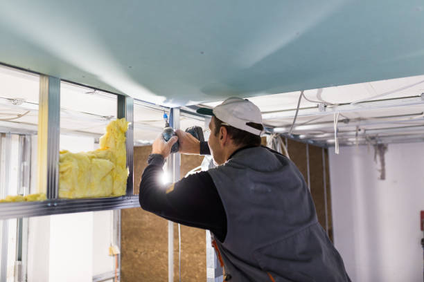 Types of Insulation We Offer in Tchula, MS