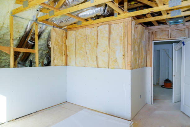 Best Eco-Friendly Insulation in Tchula, MS