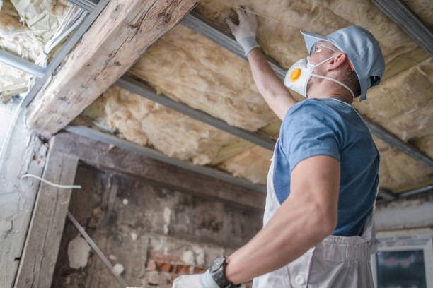 Best Residential Insulation in Tchula, MS
