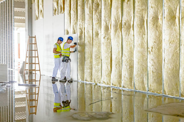 Best Spray Foam Insulation in Tchula, MS